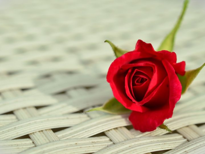 10 Best Romantic Ceremony Readings