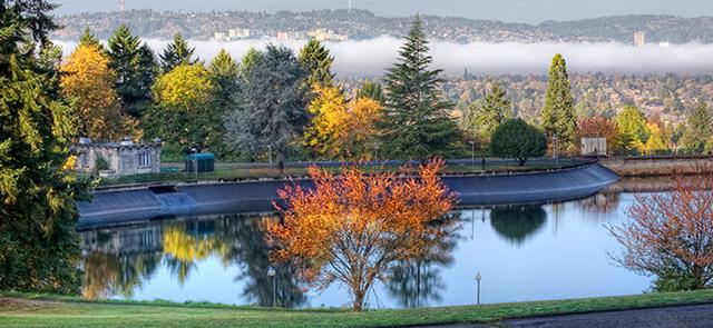 Mt Tabor Park News