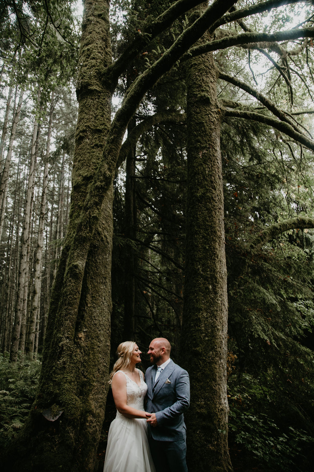 cathedral of trees stanley park vancouver elopement