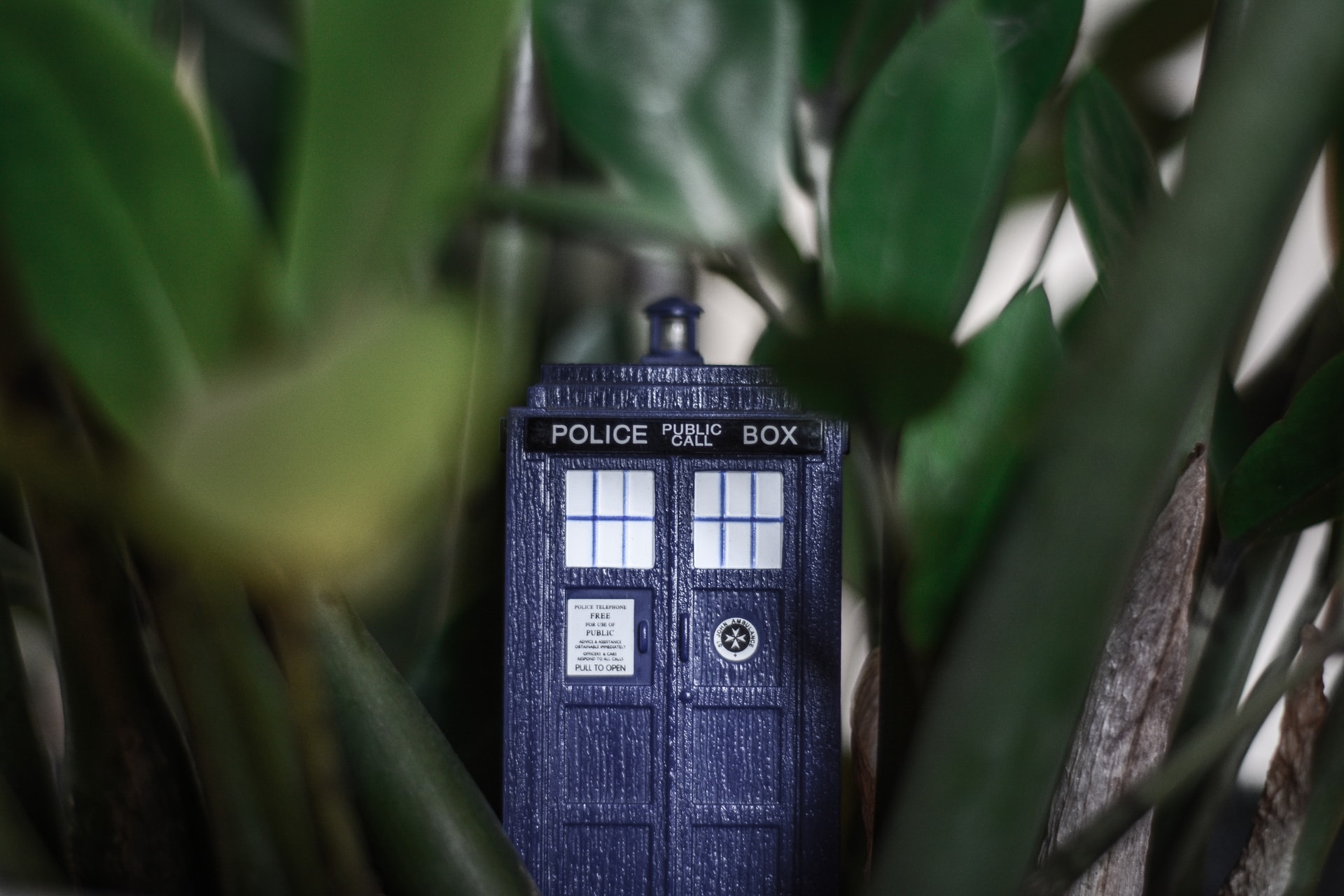 doctor who wedding, tardis, police box