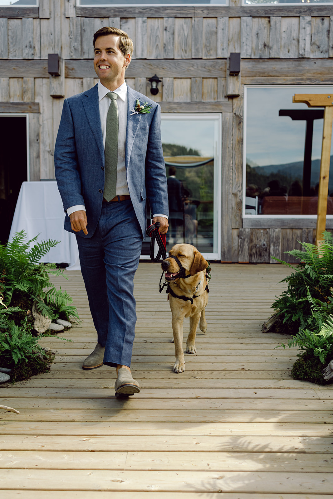 walking wedding dog into ceremony, dog as ring bearer, dog walking down the aisle