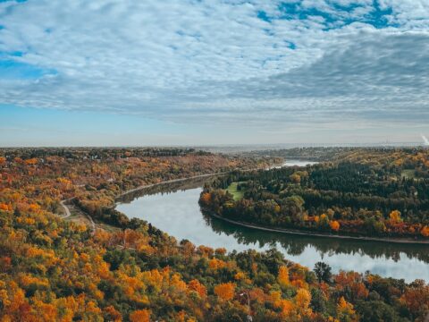fall foliage on North Saskatchewan River in Edmonton, Edmonton elopement
